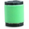 Briggs & Stratton Air Filter With Pre Cleaner- Green