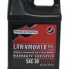 Briggs & Stratton SAE 30 Small Engine Oil- 48oz -YardPro Shop 1307230 21809.1673454399