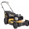 Cub Cadet 21 In. 140cc Briggs And Stratton Engine 3-In-1 Gas Walk Behind Push Lawn Mower