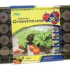 Jiffy Tomato Starter Greenhouse